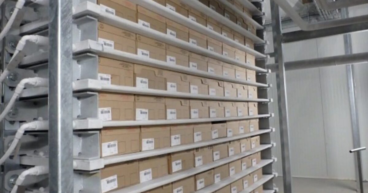 Milmeq FCF Beef Plate Freezers MHM Automation